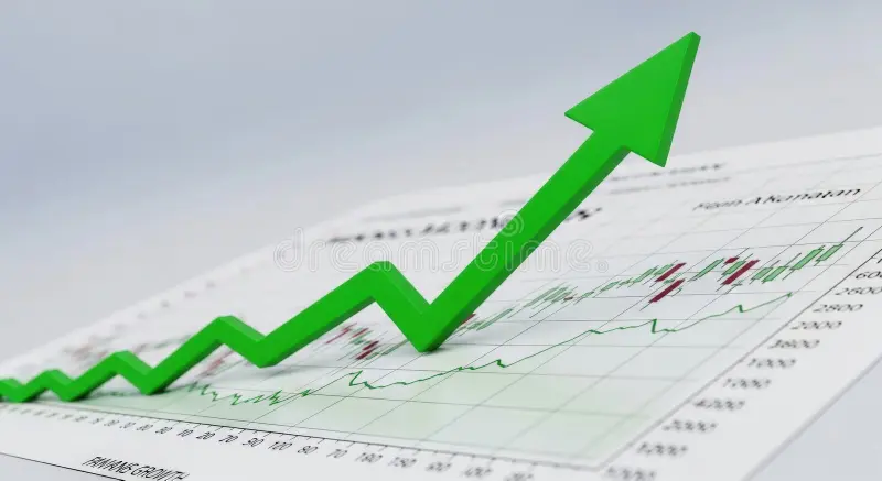 Portfolio Management